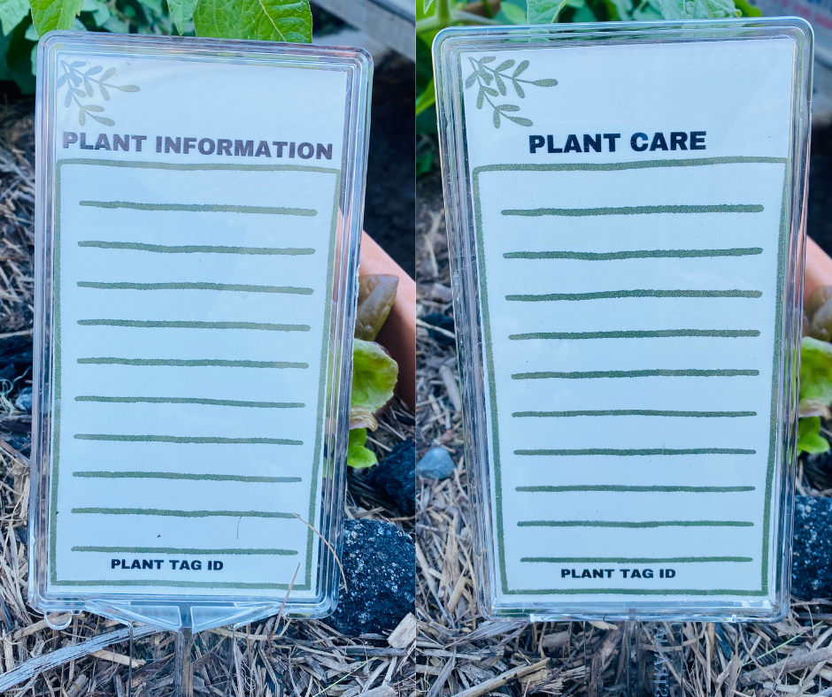 Blank Plant Label