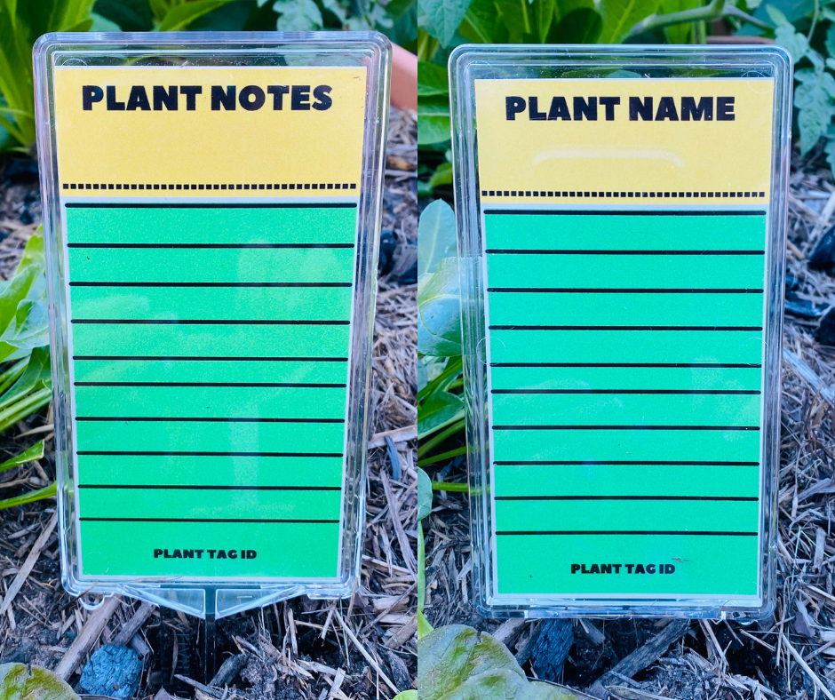 Green Blank Plant Label