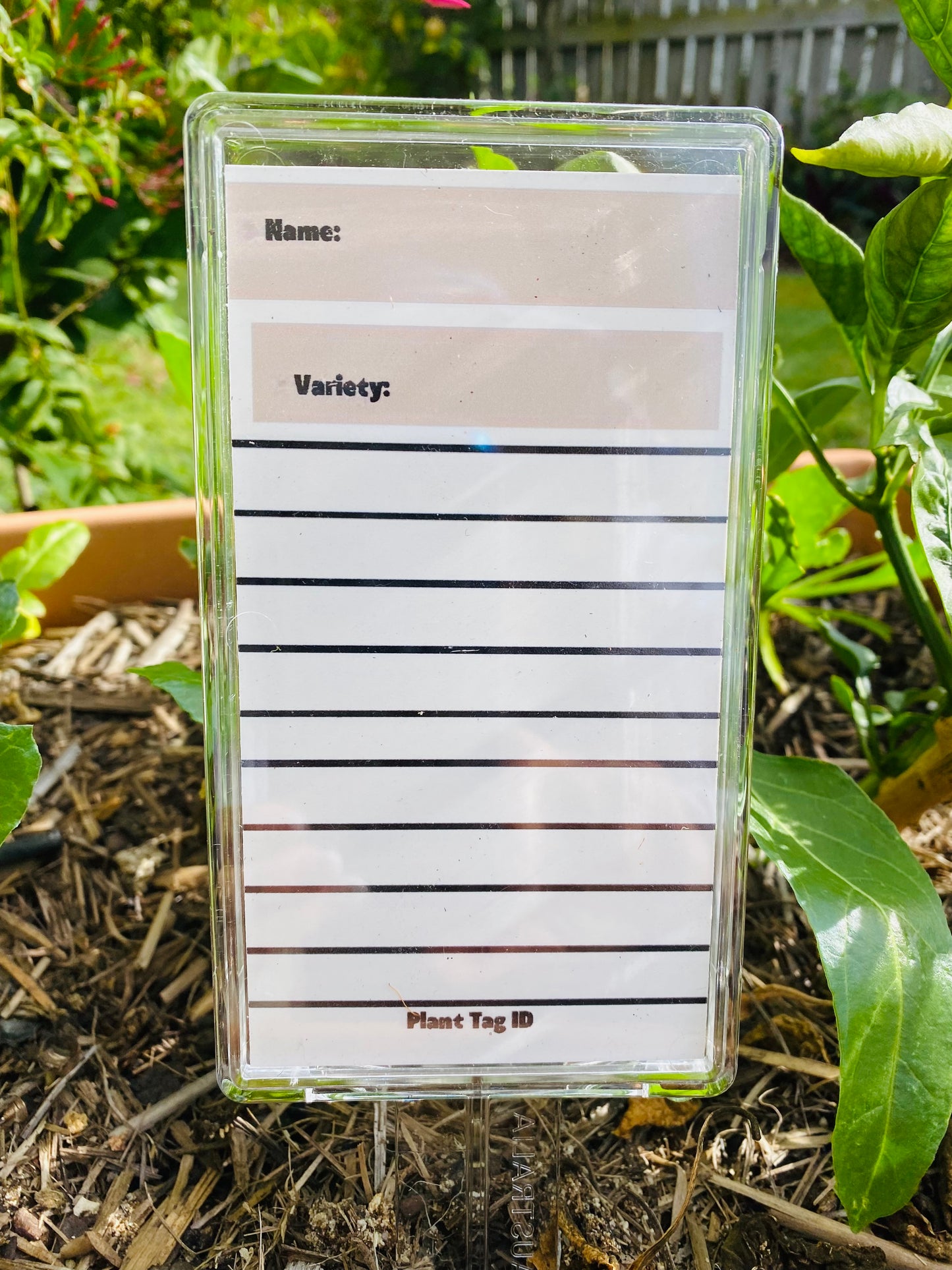 Blank Plant Label - Beige Name and Variety