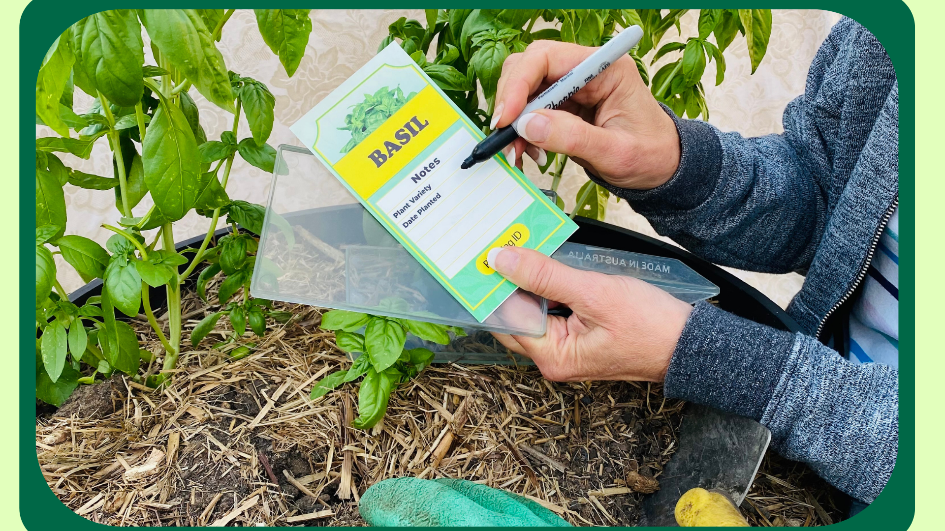 Basil Plant Label Notes