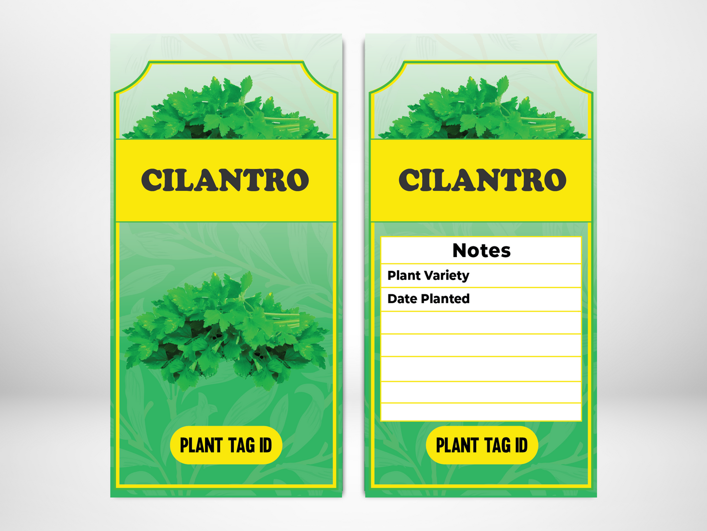 Plant Label Cilantro - label size 80mm width x 150mm length