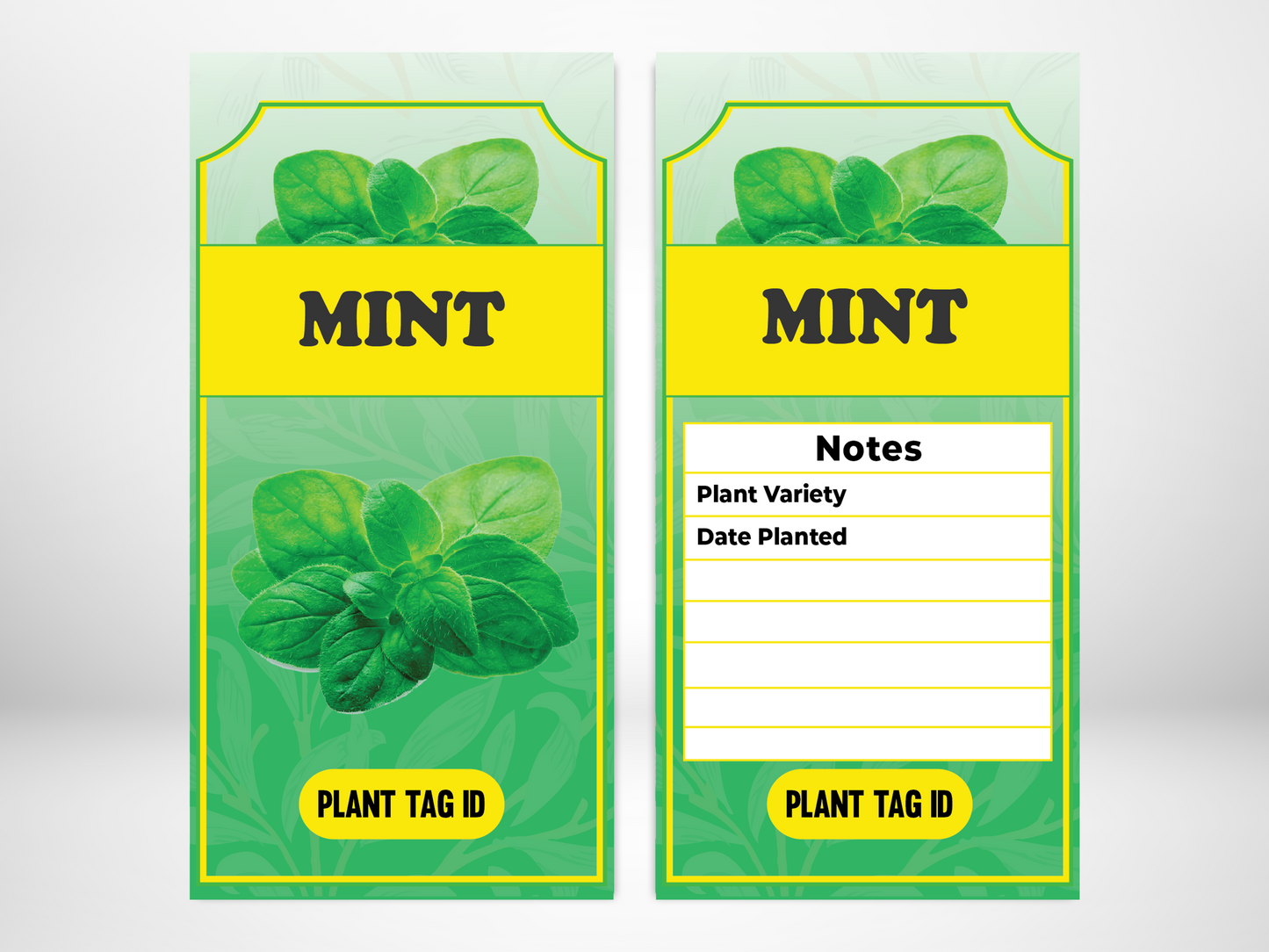 Plant Label Mint - label size 80mm width x 150mm length