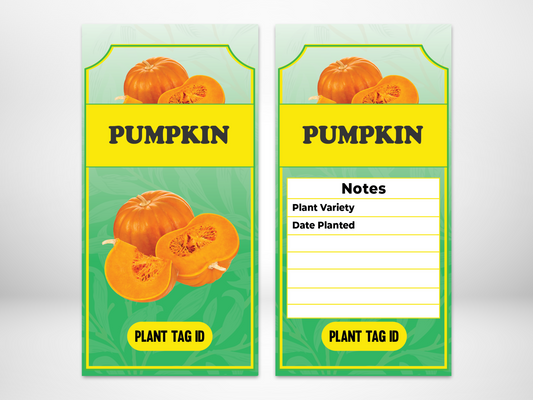 Plant Label Pumpkin - label size 80mm width x 150mm length